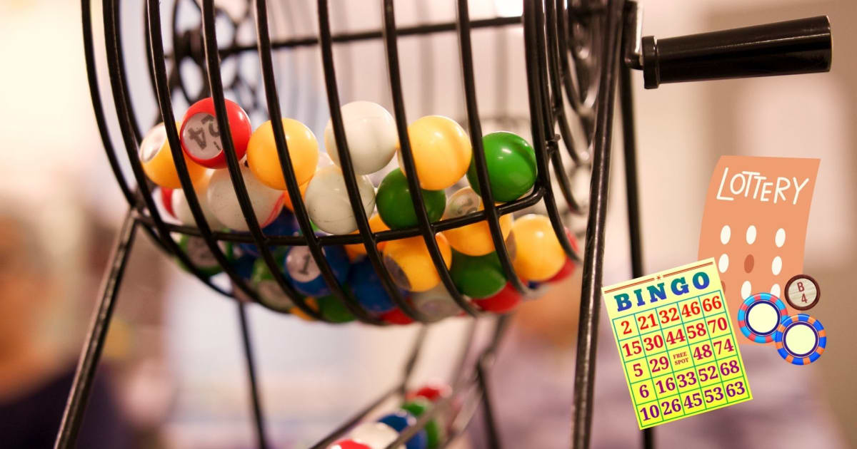 Opiniile experților despre Bingo vs. Loterie